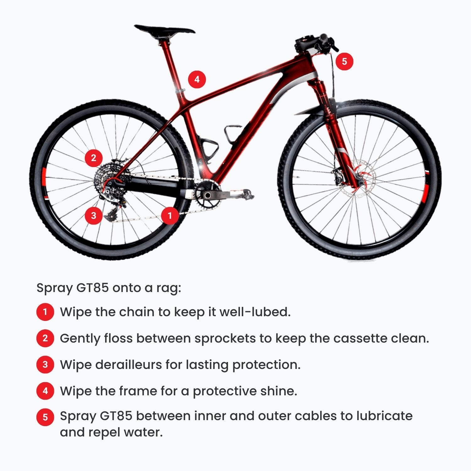 BIKE31 - Ride Safer. Ride Better.